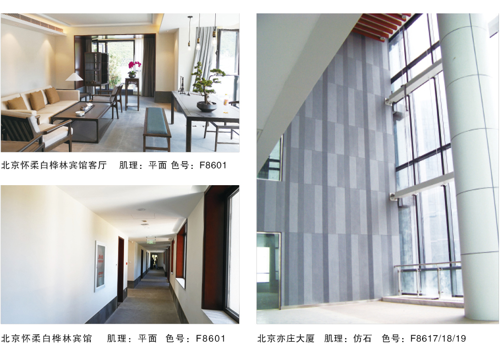 泰斯特细金砂F860系列产品典型案例北京白桦林宾馆