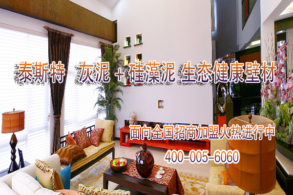 泰斯特灰泥+硅藻泥，创业加盟首选品牌