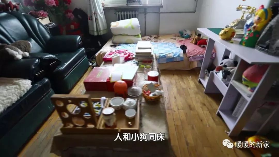 泰斯特灰泥携手BTV打造《暖暖的新家》