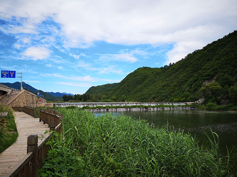 泰斯特细金砂灰泥|白桦林宾馆完美绽放 泰斯特细金砂灰泥|白桦林宾馆完美绽放