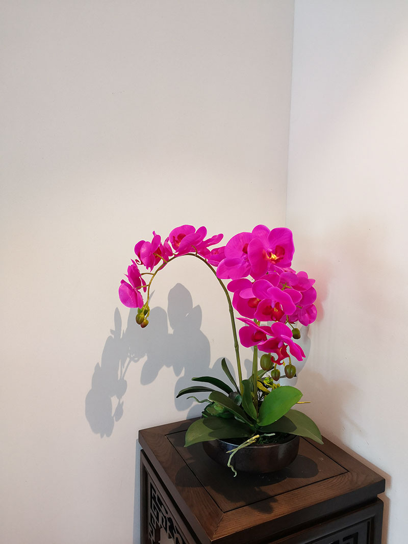 泰斯特细金砂灰泥|白桦林宾馆完美绽放