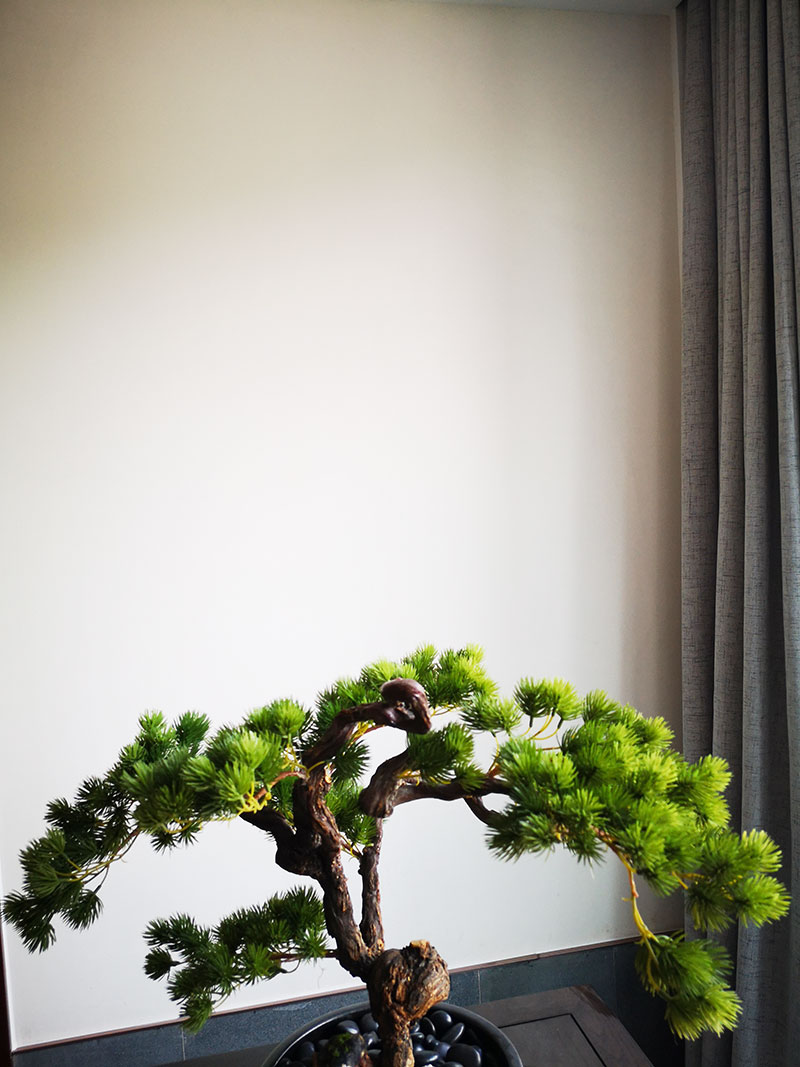 泰斯特细金砂灰泥|白桦林宾馆完美绽放