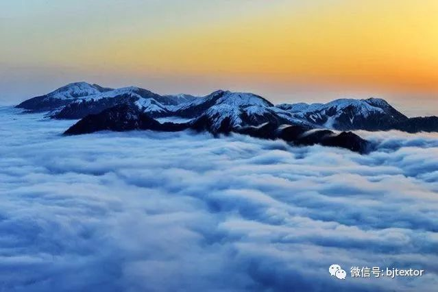 最美羊狮幕留下泰斯特灰泥的足迹