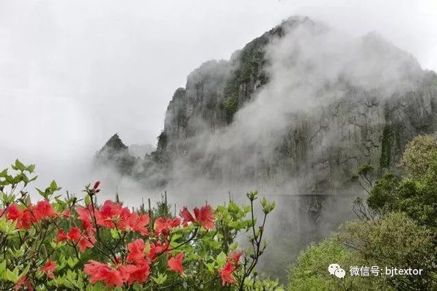 最美羊狮幕留下泰斯特灰泥的足迹