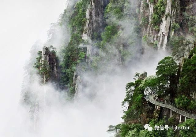 最美羊狮幕留下泰斯特灰泥的足迹