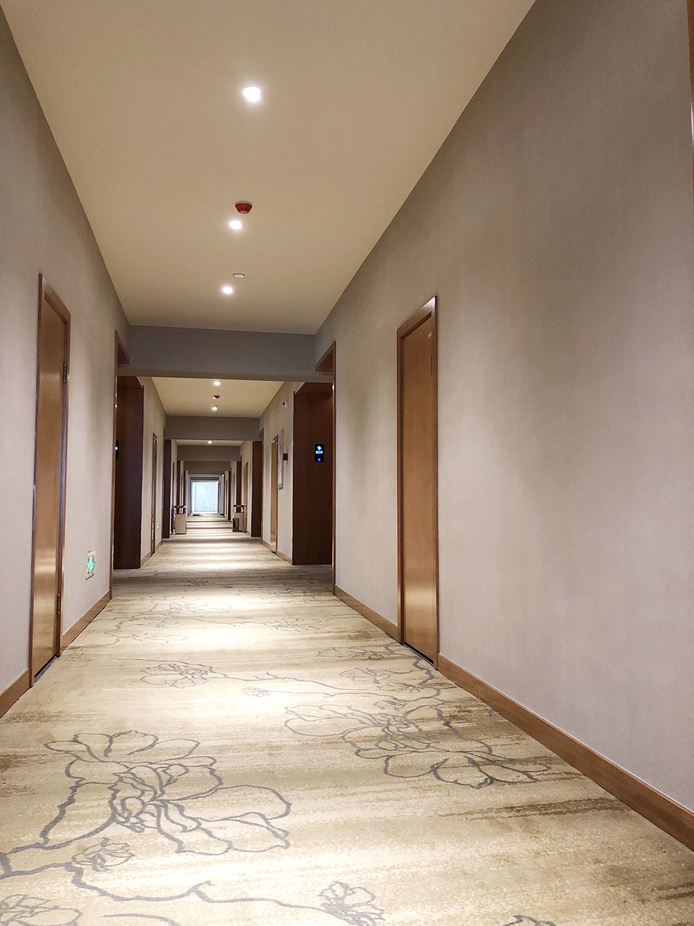 最美羊狮幕留下泰斯特灰泥的足迹